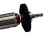 Induzido Completo Para Martelete HR2450/HR2445 - 515663-4 - Makita