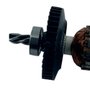 Induzido Montado para Furadeira GSB 16 RE - 1600A0070C - Bosch