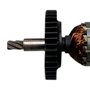 Induzido Para Martelete Perfurador DW563K 110V - 377809-02 - Dewalt