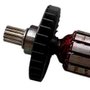 Induzido/ Rotor 120V - 2610004634 - Dremel