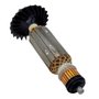 Induzido/ Rotor 127V - 1604010BP8 - Bosch