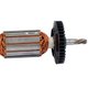 Induzido/ Rotor 127V - 2604011911 - Bosch