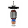 Induzido/ Rotor 127V - 5140179-91 - Black & Decker