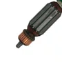 Induzido/ Rotor 127V - 5140198-17 - Black & Decker