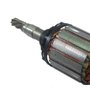 Induzido/ Rotor 127V para Martelo D25820 - N046419 - Dewalt