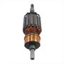Induzido/ Rotor 127V para Martelo D25820 - N046419 - Dewalt