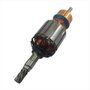 Induzido/ Rotor 127V para Martelo D25820 - N046419 - Dewalt