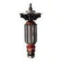 Induzido/ Rotor 220V - 185982-00 - Dewalt