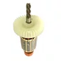 Induzido/ Rotor 220V - 5140176-07 - Black & Decker