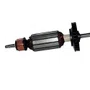 Induzido/ Rotor 220V Descontinuado F.L. - 1004684-27 - Dewalt