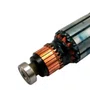 Induzido/ Rotor 220V - N225697 - Dewalt