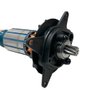 Induzido/ Rotor 220V - N584772 - Dewalt