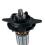 Induzido/ Rotor 220V - N584772 - Dewalt