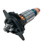 Induzido/ Rotor 220V - N584772 - Dewalt
