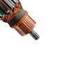 Induzido/ Rotor 220V - NA246450 - Dewalt