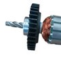 Induzido/ Rotor 220V para DWD014-B2 - N869188 - Dewalt