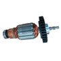Induzido/ Rotor 220V para DWD014-B2 - N869188 - Dewalt