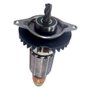 Induzido/ Rotor 220V para Martelete D25101 - 585474-00  - Dewalt