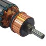 Induzido/ Rotor 220V para Martelete D25501 - N046420 - Dewalt