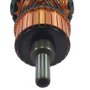 Induzido/ Rotor 220V para Martelete D25501 - N046420 - Dewalt