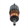 Induzido/ Rotor 220V para Martelete D25501 - N046420 - Dewalt
