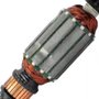 Induzido/ Rotor 220V para SHR263 - N505287 - Black & Decker