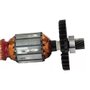 Induzido/ Rotor com Rolamento e Pinhão 220V - N564099S - Dewalt