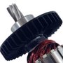 Induzido/ Rotor Completo 110V - 516816-8 - Makita