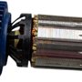 Induzido/ Rotor Completo 220V - 377762-05 - Dewalt