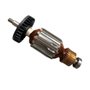 Induzido/ Rotor Completo 220V F.L - 578603-00 - Dewalt