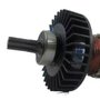Induzido/ Rotor Completo 220V para TD0100 - 517653-3 - Makita