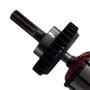 Induzido/ Rotor para DCF889 - N415905 - Dewalt