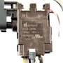 Interruptor para DCF813/DCF815 - N393697 - Dewalt