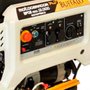 Gerador BFGE 12KVA Master Monofásico 115/230V - Buffalo