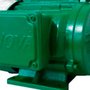 Motor 1CV 2 Pólos Trifásico Blindado IP-56 - Kohlbach
