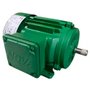 Motor 1CV 2 Pólos Trifásico Blindado IP-56 - Kohlbach
