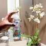 Neutralizador de Odores 200ml - Norton