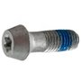 Parafuso do Mandril - 490910-00 - Dewalt