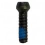 Parafuso do Mandril - N303381 - Dewalt