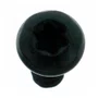 Parafuso M3 x 8 T10 Aço - 593478-00 - Dewalt