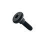 Parafuso M4 x 16mm - N137733 - Dewalt