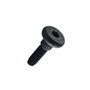 Parafuso M4 x 16mm - N137733 - Dewalt