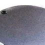 Pistão do Motor - 318441-9 - Makita