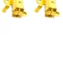 Porta Escova de Carvão - 5140166-13 - Dewalt