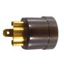 Porta Escova de Carvão - N504537 - Dewalt