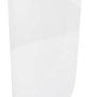 Protetor Facial 8" com Catraca Incolor - WPS0719 - Delta Plus