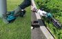 Tesoura para Grama à Bateria 18V DUM604ZX - Makita