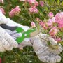 Tesoura para Jardim Master TS-1111 - Trapp